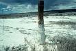Soil salinity - Wikipedia, the free encyclopedia