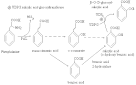 Salicylic acid synthesis and conjugation - Secondary products ...