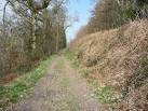SJ2528 : Offa's Dyke Path beside Offa's Dyke in Candy Woods - via Daymix