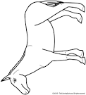 Mule coloring page
