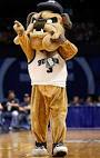 Stories, Butler Bulldogs and Lazarus | Trust Live Serve