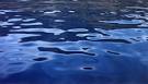 wasser