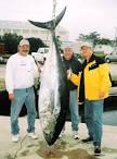 The story behind the scenes: about BLUEFIN TUNA, about us ...