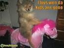 kids riding dogs