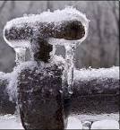 Weather, Water, Chores and Pets