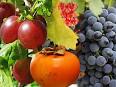 Berry - Wikipedia, the free encyclopedia