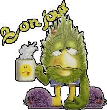 images?q=tbn:ANd9GcRcnXyBg9qdBPpM4pjMOhMsZZh4HxzcpPaUdcdgMEN7irq3d7zWho6zcCUuRw