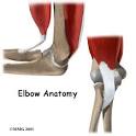A Patient's Guide to Elbow Anatomy