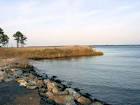 Shoreline near bogles wharf at eastern neck public domain image picture in - via Daymix