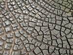 File:Desiccation-cracks hg.jpg - Wikipedia, the free encyclopedia