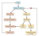 Traitement de l'<b>acidose</b> métabolique chronique | NEPHROBLOG