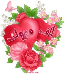 ���� ���� ������ �� ���� ������