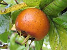 images?qtbnANd9GcRdZorJ46Fjl79ayp HWjv1gygWHHQ 4vAlTP 0aLjdiA5aQADd