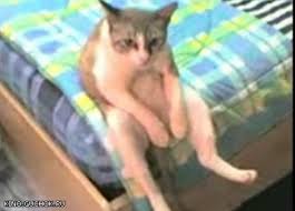 images?q=tbn:ANd9GcRdcFHHfDLvZpzdfowjCm8_6pByWo2OL_FLUdHWUOAgzTdc7UXFGg