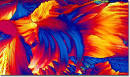Molecular Expressions Photo Gallery: Endorphins - beta-
