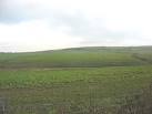 Croplands on both sides of the valley sloping down to valley bottom wetlands - via Daymix