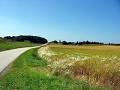 Les accotements, stabilis�s ou