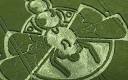 Dragonfly crop circle appears in Wiltshire - Telegraph