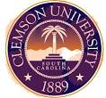 Personal Injury Attorneys: CLEMSON research offers hope for TBI ...