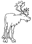 Caribou coloring page