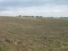Farmland off Worry Goose Lane - via Daymix