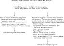 Asymptomatic Microscopic Hematuria in Adults: Summary of the AUA ...