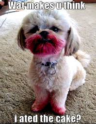 external image images?q=tbn:ANd9GcReiRCydy9dFzl_Hgq2DUSPo5Ro5TBOiEh8mzorh82nX7jLuVyo