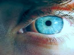 images?q=tbn:ANd9GcReumnjOTGVurwxUg7SBOcqG863ayg01uWgVZsG3MFfFzGqHB2L