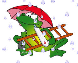 http://t1.gstatic.com/images?q=tbn:ANd9GcRf135ETR2ag3TaT2mTqyNT4XUXjp9vdDKnpu2WaIiUQcren8xX