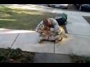 YouTomb - YouTube Video - Dog Cries When Soldier Returns Home