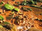 The bacteria live by using - via Daymix