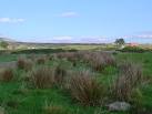 Middle and Easter Bracklinn from access road - via Daymix