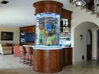 Unique Aquariums Design Ideas: Unique Aquariums Design Ideas With ...