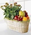 FTD Fruits and Flowers - Fruit and Nuts - Flowers Fast