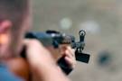Four Dems brave gun fight - Salon.