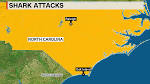North Carolina Shark Attack Victim: I Didnt See it Coming.