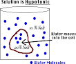 Diffusion