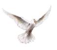 Pentecost