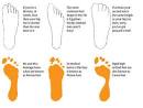 Boots - Race Fit