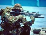 Government Navy SEALs' Daring