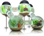 Labyrinth Aquarium  Luxurious home for your fish