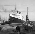 Queen Elizabeth in King George - via Daymix