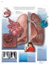 GUIAS DE EPOC 2007 « Genoma98′s Weblog