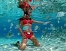 Snorkeling At Coki Beach St Thomas Virgin Islands | Coki Dive