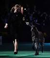 Scottish deerhound wins Westminster dog show - latimes.