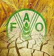Science™: FAO