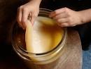 What Is Kombucha Tea?