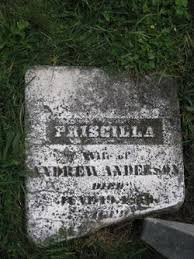 Priscilla Bryson Anderson (1795 - 1856) - Find A Grave Memorial - 43107257_125557065350