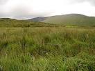 On the map there is Rock Art marked here. - via Daymix