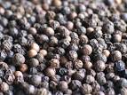 poivre madagascar import export poivre madagascar EspaceAgro